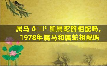 属马 💮 和属蛇的相配吗,1978年属马和属蛇相配吗